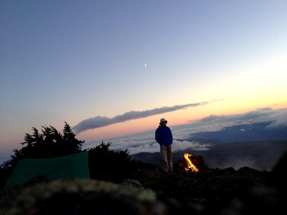 Mount arrowsmith, Canada, Windblown