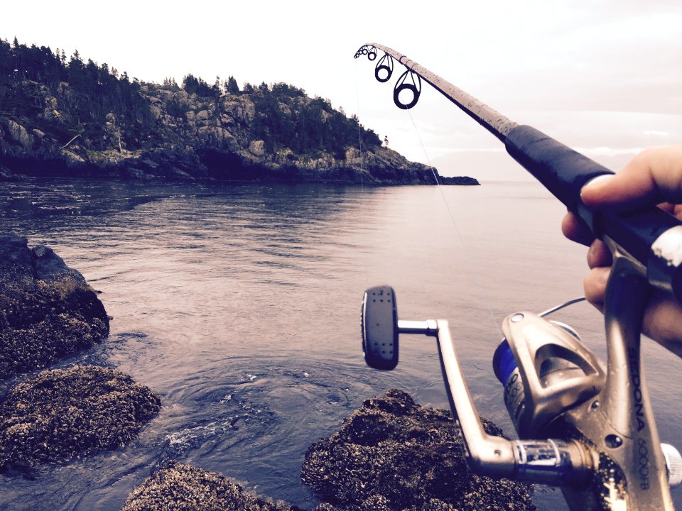 person fishing using black and silver fishing rod during daytime