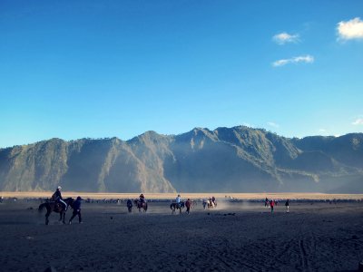 riding people on horses during daytime photo