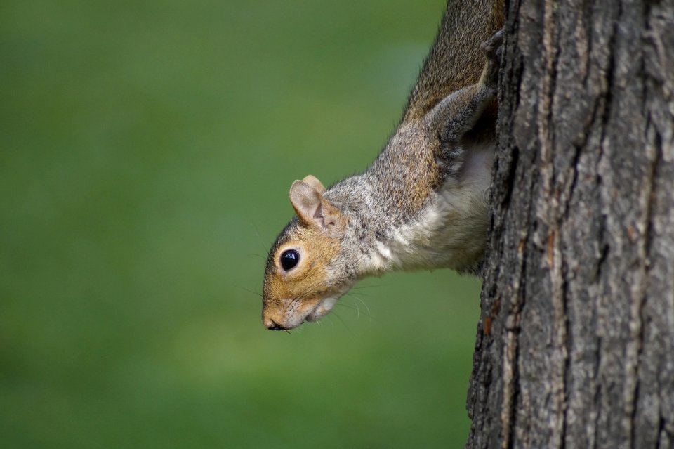 Minneapolis, Loring park, United states
