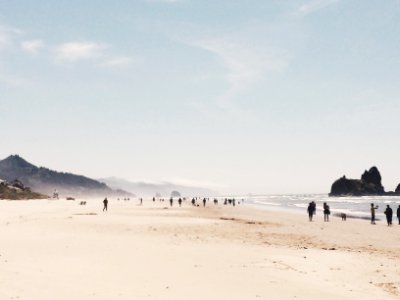 silhouette of people walking on beach shore during daytime photo