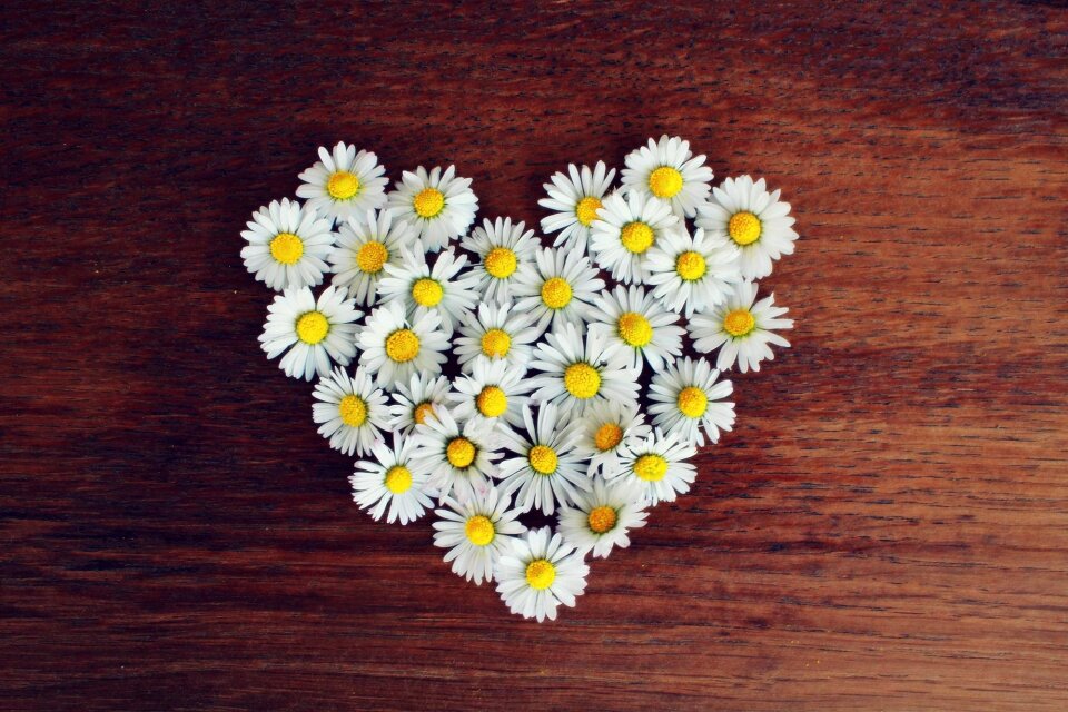 Love heart shaped romantic
