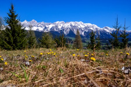 Spring, Dachstein, Austria