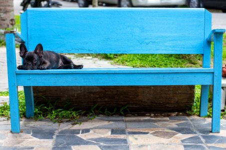 Bench, Blue, Lazyness