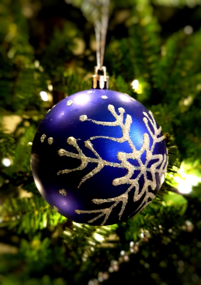 Winter, Tree, Blue
