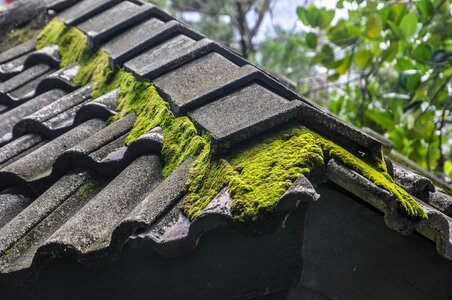 Building plants green