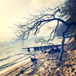 Beach, Water, Decay