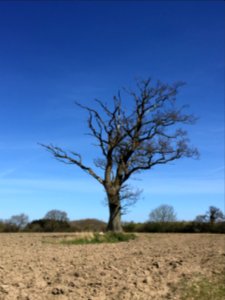 Bjert, Syddanmark, Danmark