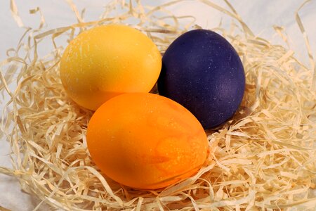 Easter eggs colorful easter egg painting photo