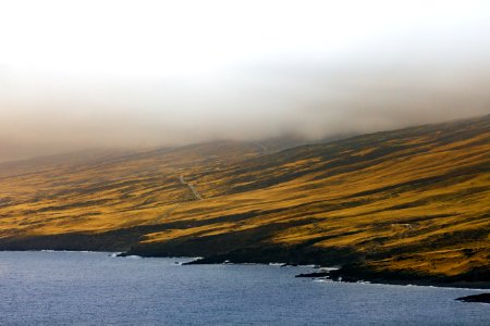 in distant photo of beach and landscape field with fogs