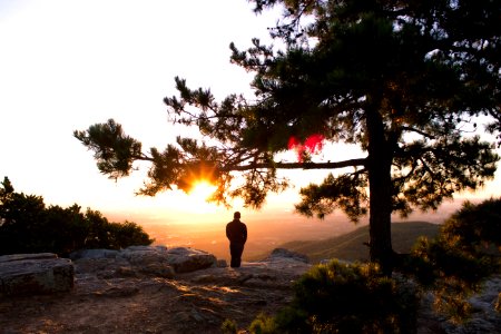 silhouette photo of man standing near tree watching hills photo