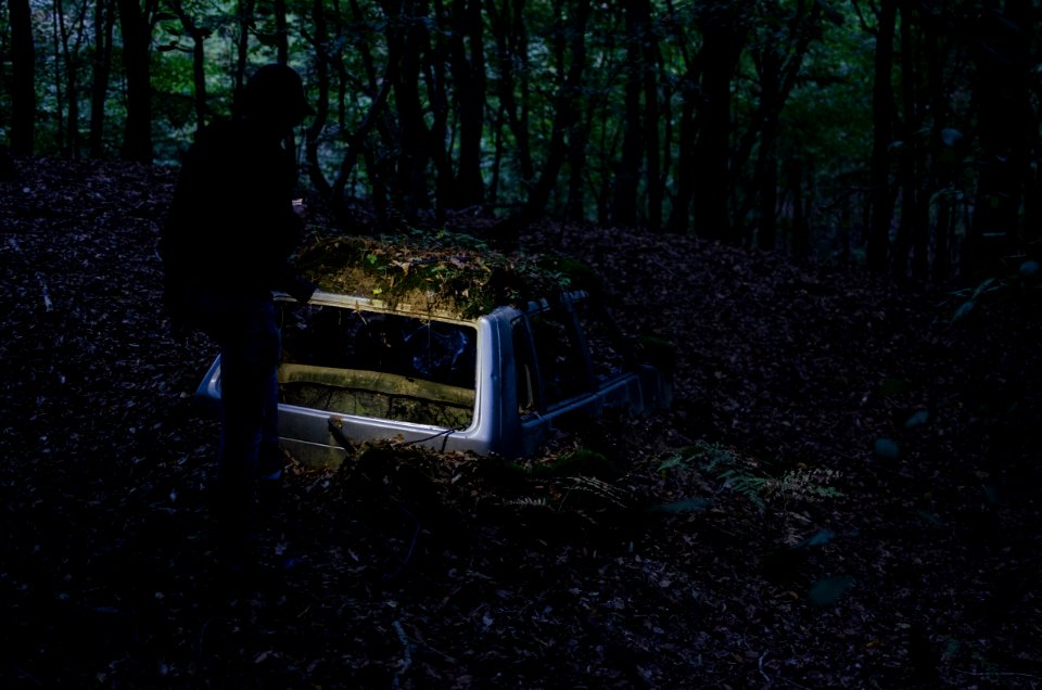 landscape photography of man standing in front of half-buried broken car at forest photo