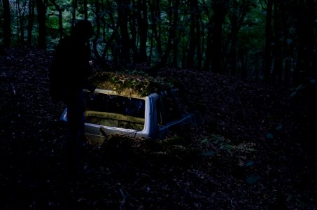 landscape photography of man standing in front of half-buried broken car at forest photo