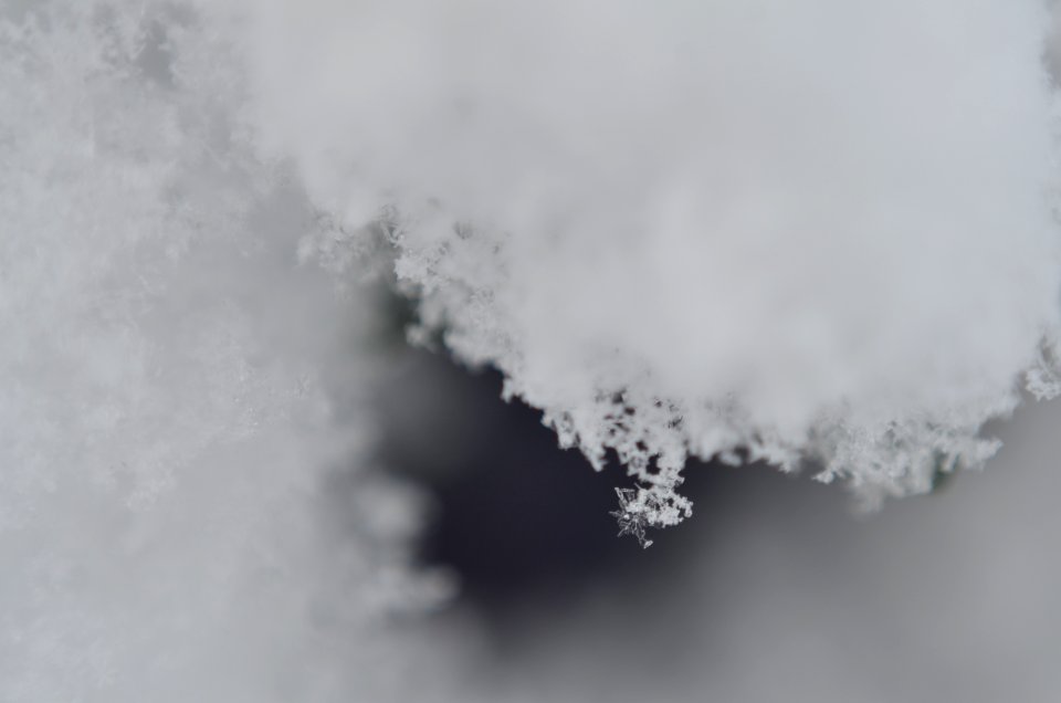 Close up, Screensaver, Fiocchi di neve