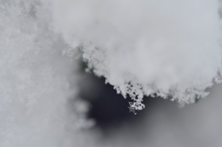Close up, Screensaver, Fiocchi di neve