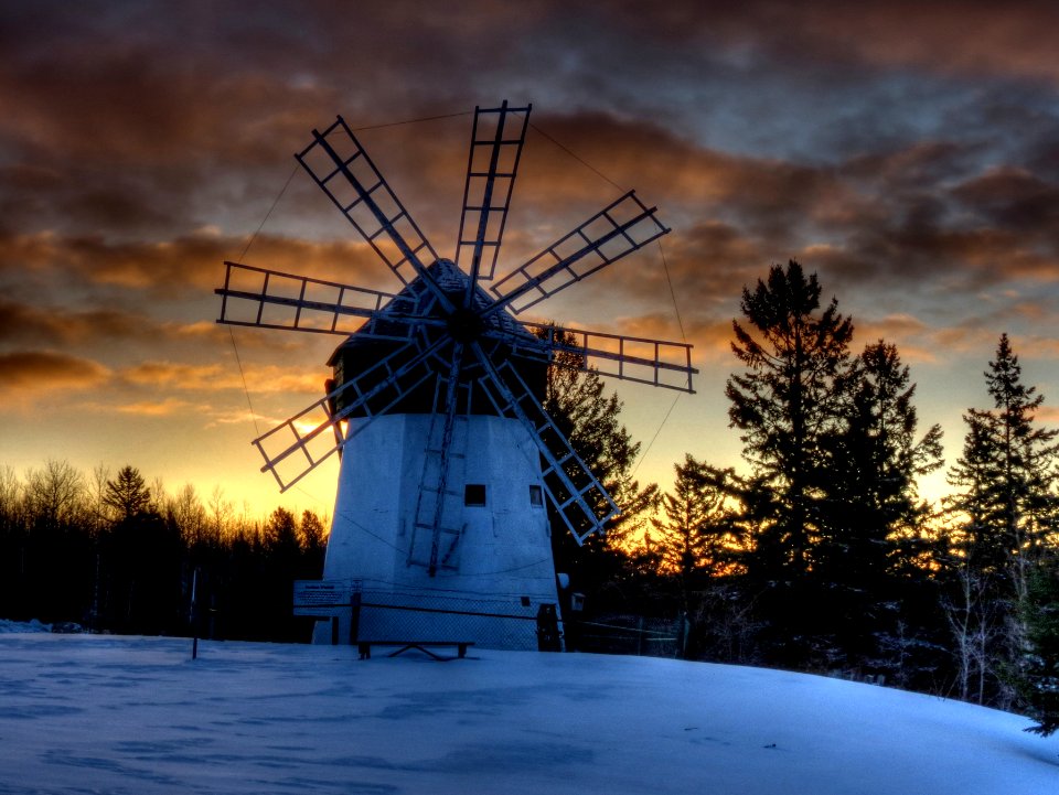 Maple, United states