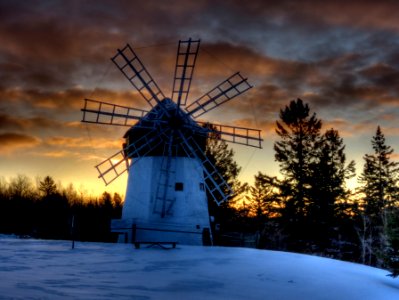 Maple, United states