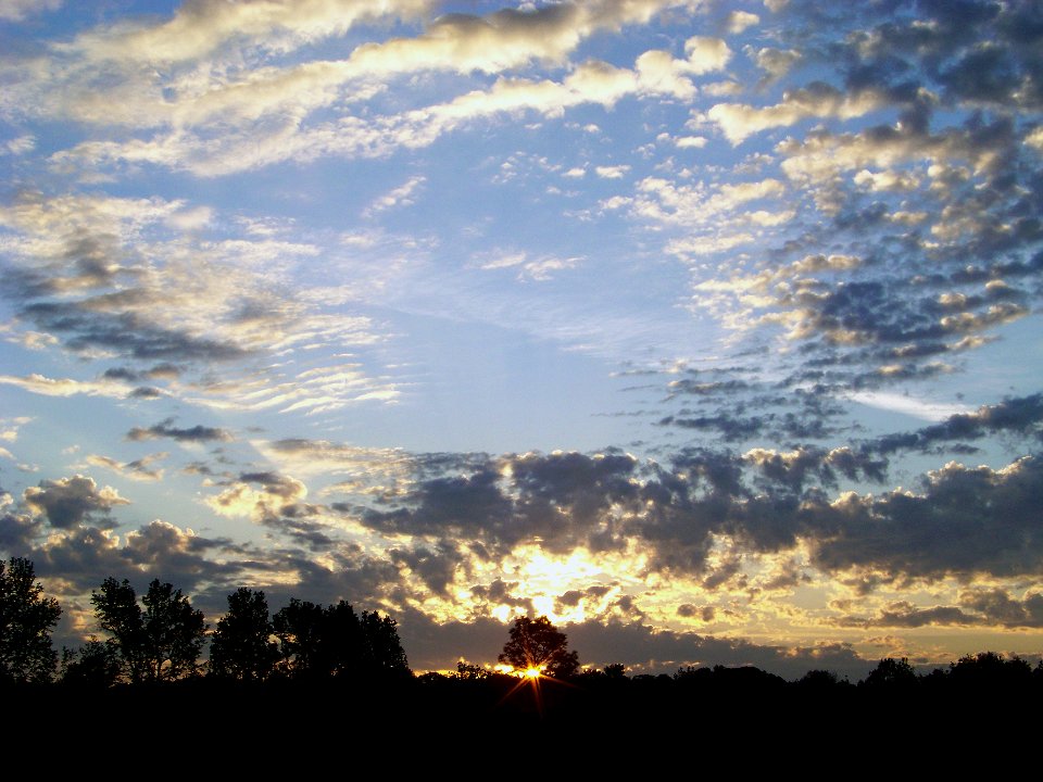 Ashburn, United states