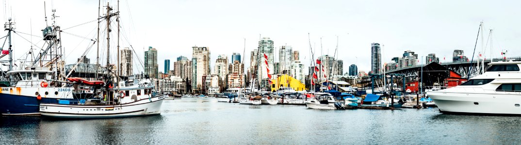 Vancouver, Canada, Go fish
