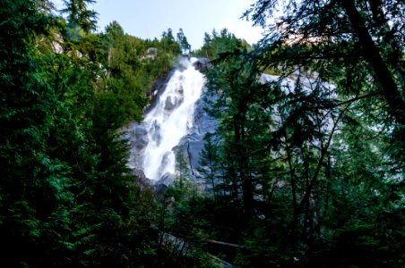 Shannon falls, Canada, Pine trees photo