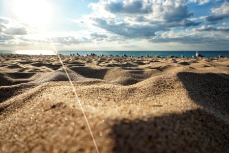 Indiana dunes state park, Chesterton, United states