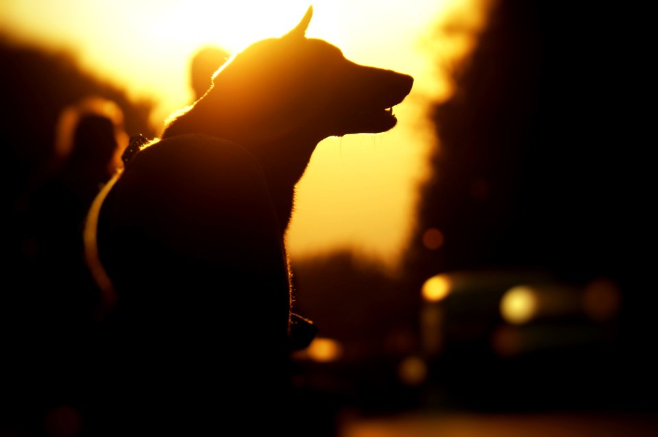 Altoona, United states, Silhouette