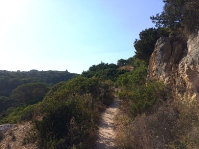 Portugal, Porches, Distrikt faro