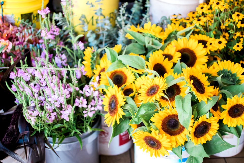 Seattle, United states, Pike place