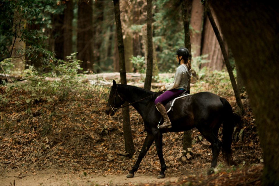 Felton, United states, Rider