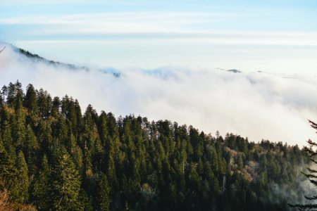 Great smoky mountains, United states, Smoky mountains photo