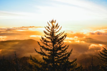 Great smoky mountains, United states, Tennessee photo