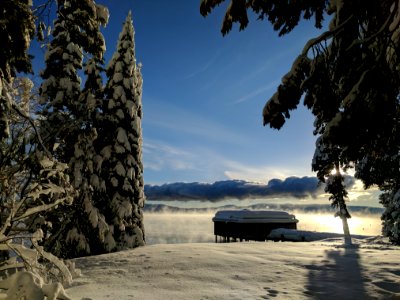 Lake tahoe, Homewood, United states photo