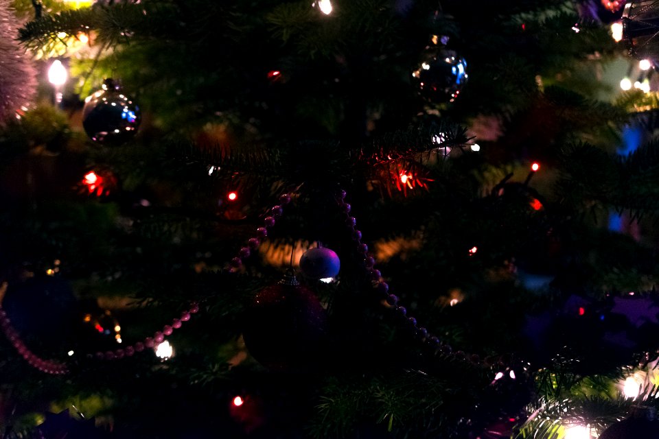 Christmastree, Christmas, Tree