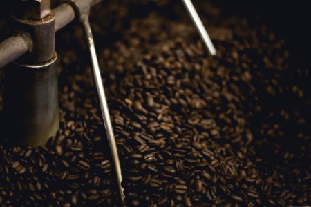brown coffee beans photo