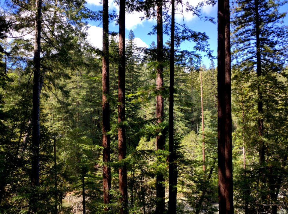 Guerneville, California, United states