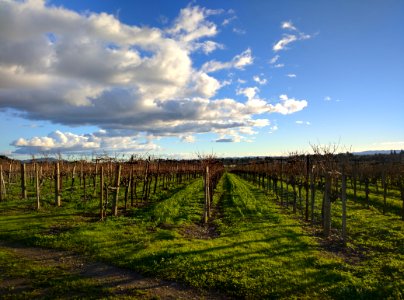 Sonoma county, United states, Clouds