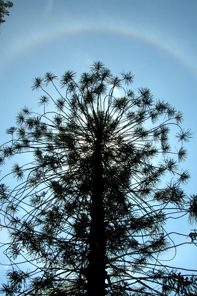 Toowoomba, Australia, Nature