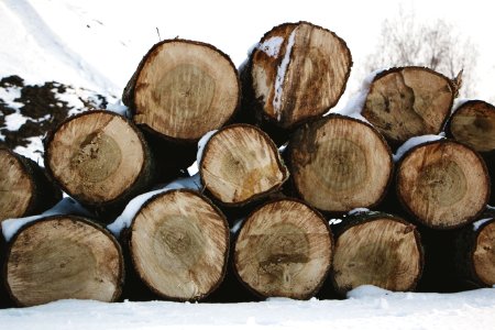 Brown, Wood, Weather