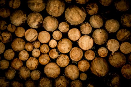 brown chopped logs