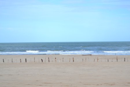 Caril, Argentina, Zen