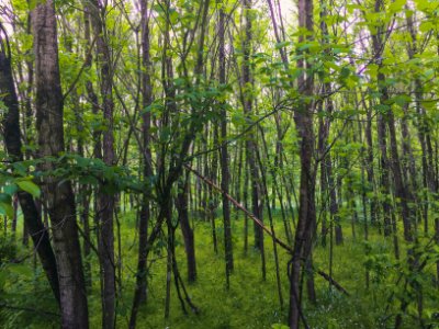 Lost valley trail, Defiance, United states