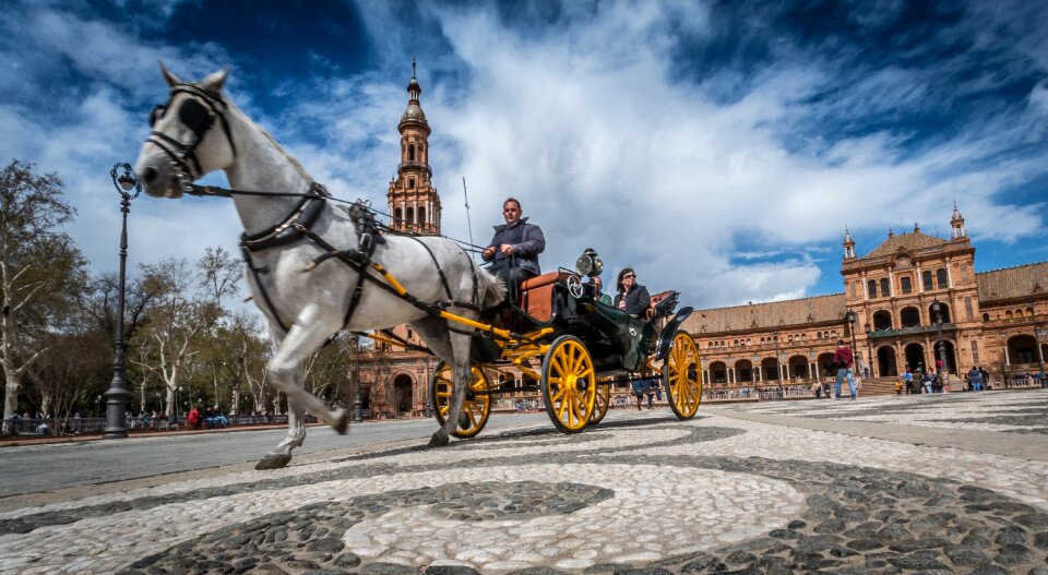 Tourism travel carriage