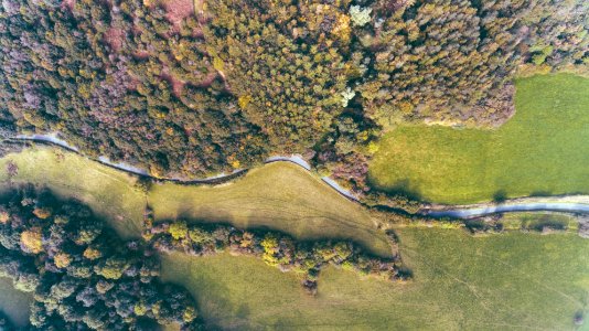 aerial view photography of green trees photo