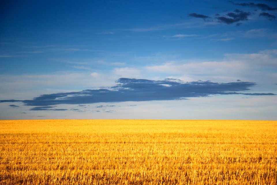 Outdoor, Yellow, Blue