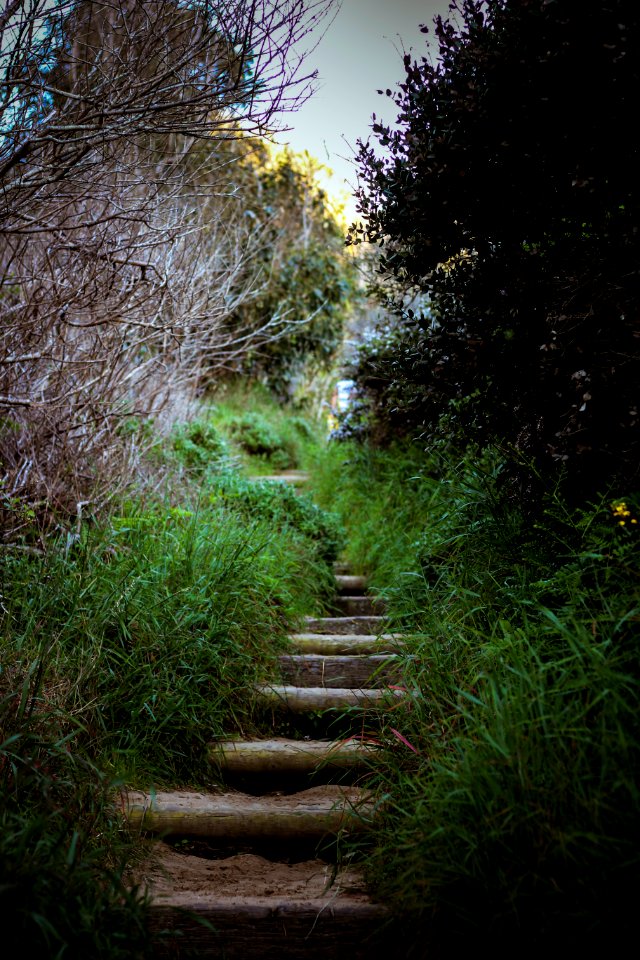 Montana de oro state park, United states, Dark