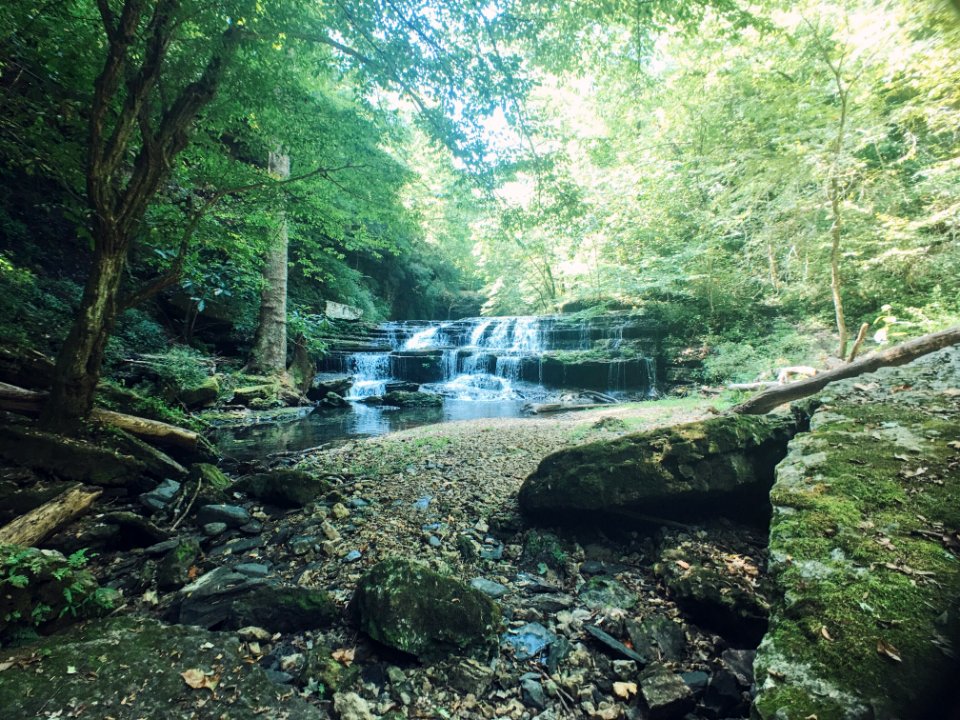 Trees, Waterfall, Nature