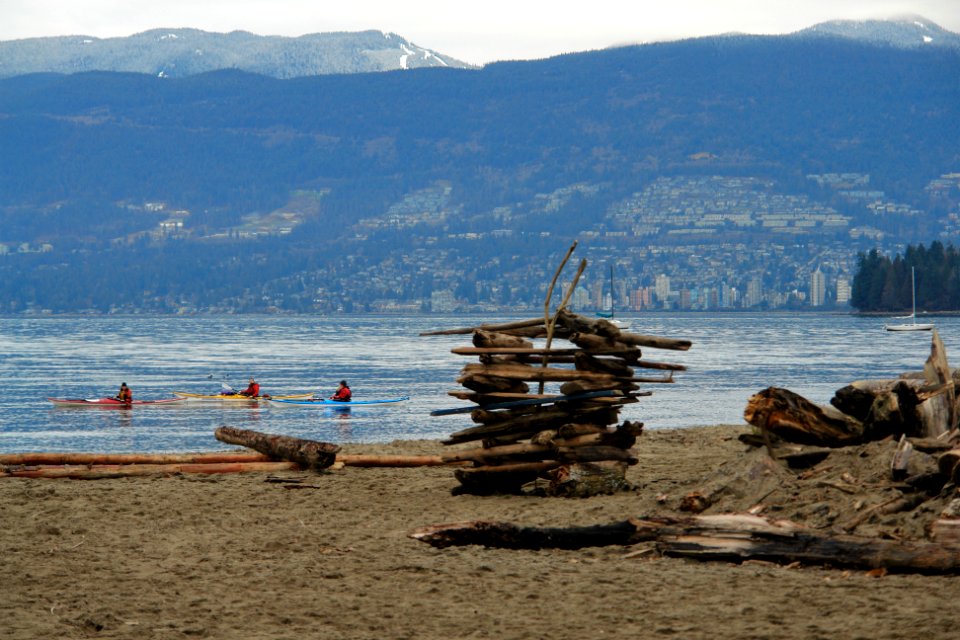 Driftwood, Beach, Kayaking