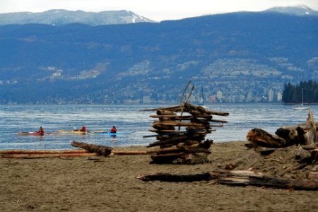 Driftwood, Beach, Kayaking