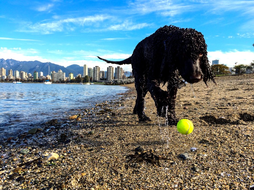 Vancouver, Hadden park, Canada