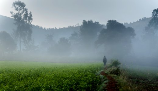 Man, Walking, India